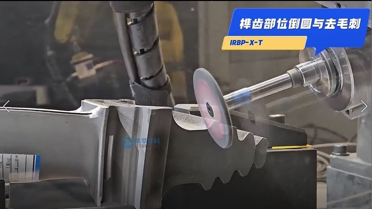 1_20220304_100407275